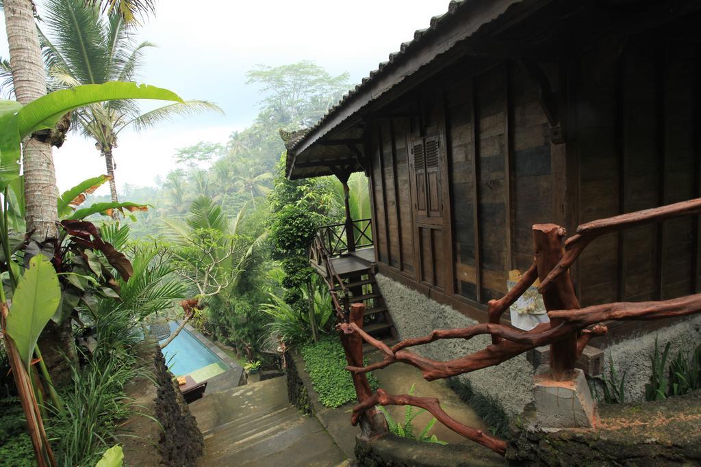 Ubud Jungle Holy Water Kültér fotó