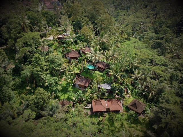 Ubud Jungle Holy Water Kültér fotó